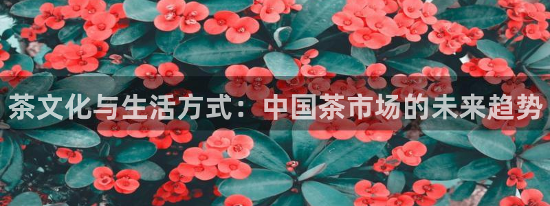 金年会活动策划