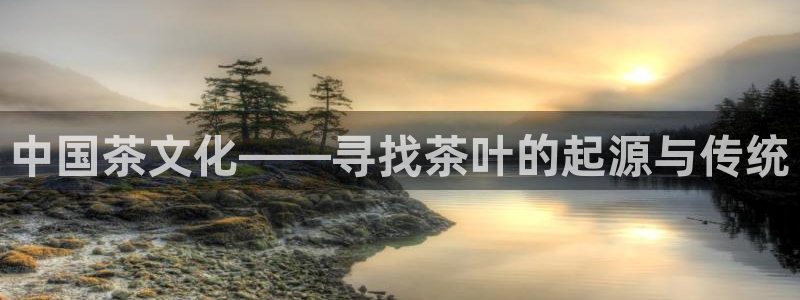 金联金年会