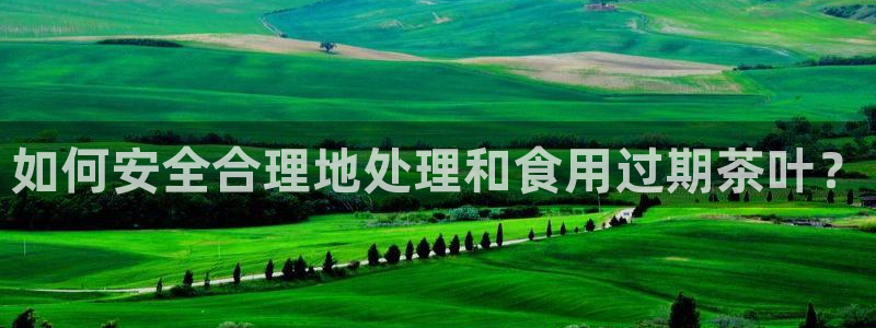 金诺利年会