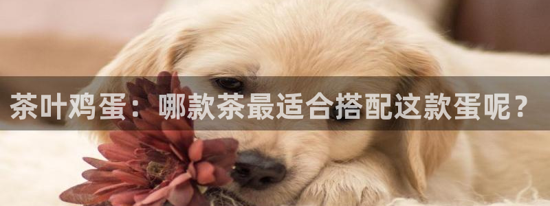 金年会app在线