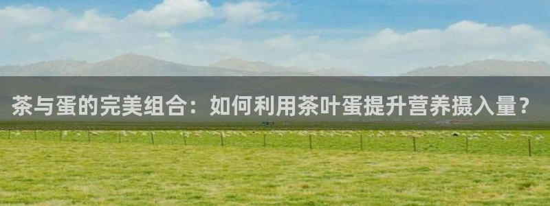 金年会国际