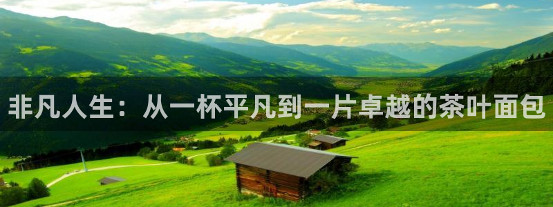 金年会拼音