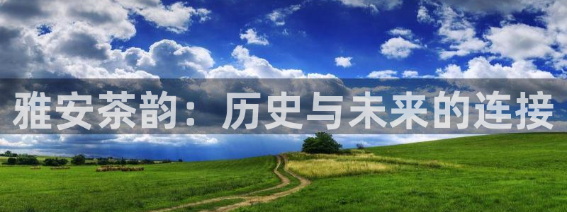 金年会网登录平台入口