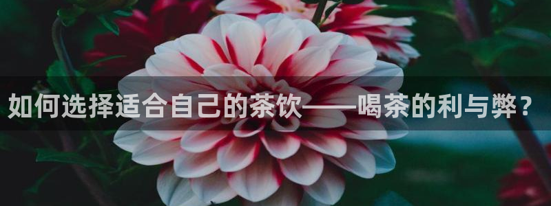 金科年会图片