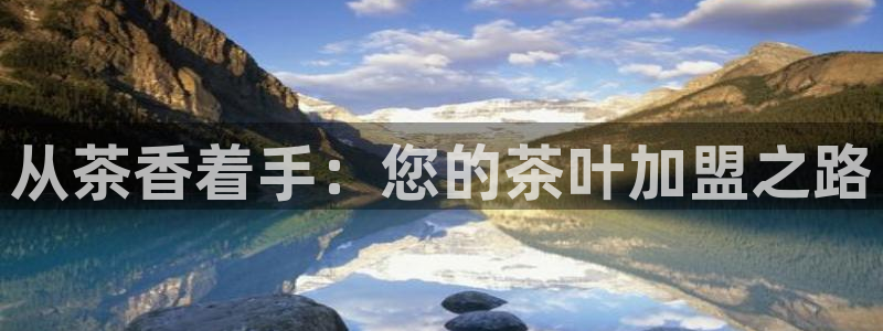 金年会网站