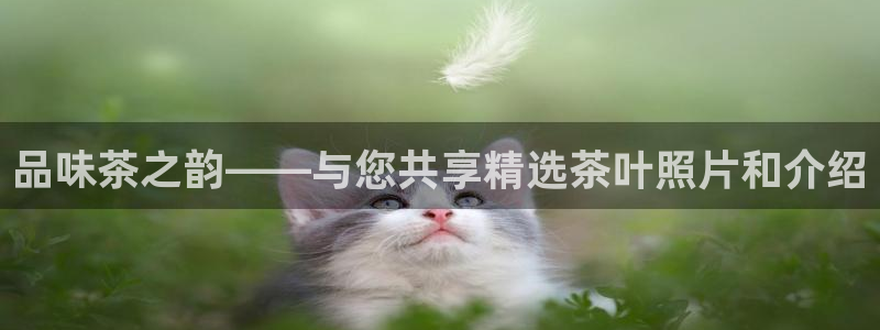 金年会官网