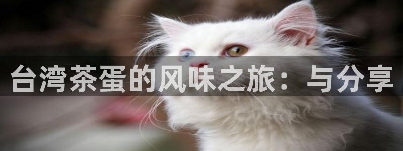 金年会娱乐app