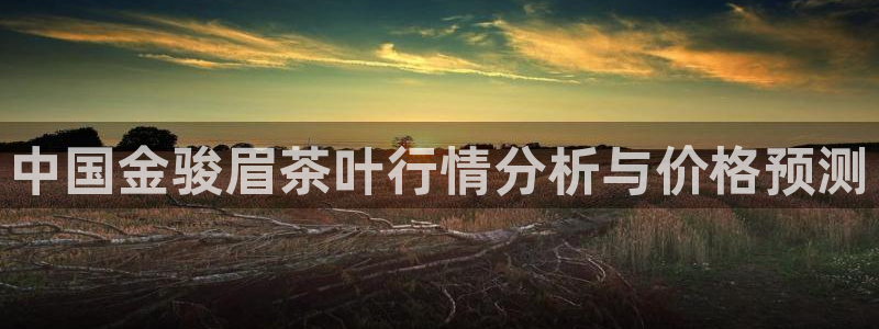 金年会体育平台官网