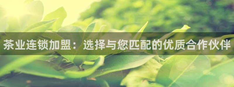 金年会网页版登陆