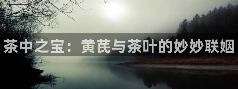 金年会网页