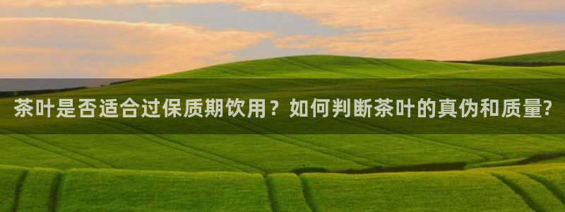 金年会.cc
