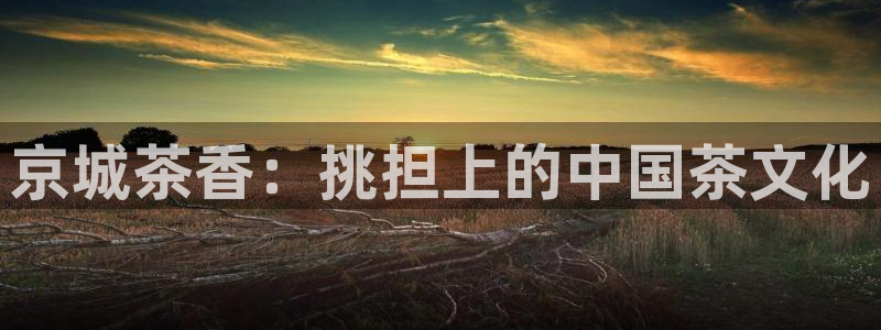 金年会金字招牌信誉至上