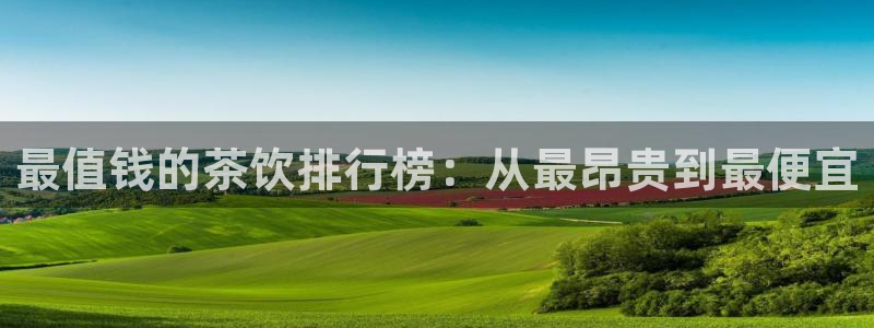 金实年会