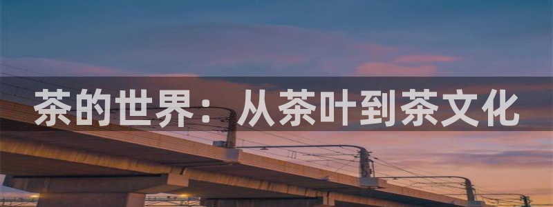 金年会最新官网