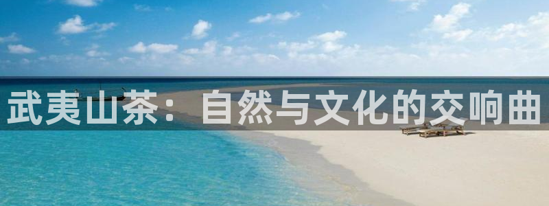 金年会手机app