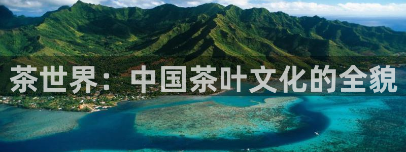 金年会体育下载