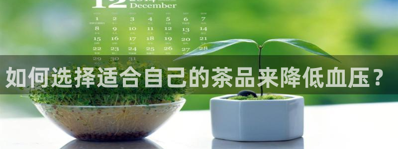 金年会体育app官网