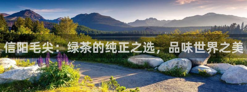 金年会平台是真的吗
