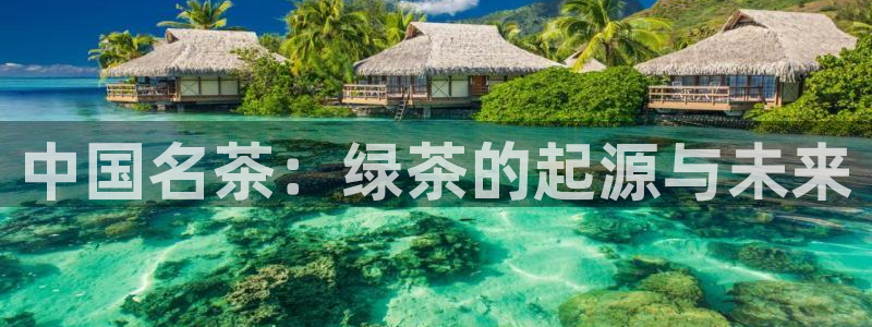 金年会平台出款