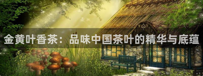 金年会娱乐下载