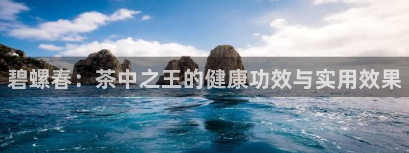 金年会app在线