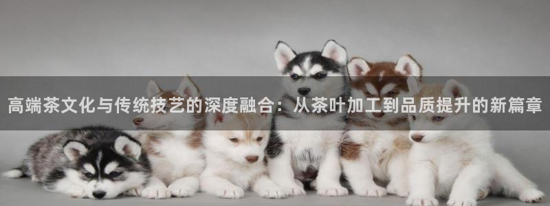 金年会平台包赔