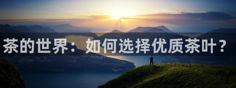 金年会全站