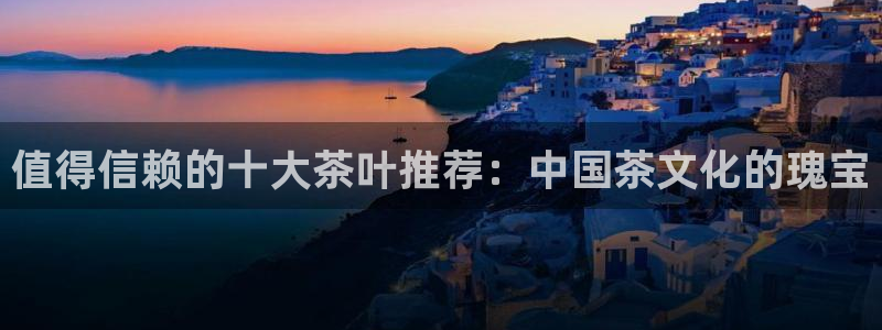金吉年会