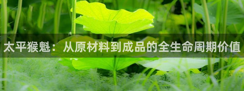 金年会体育金年会官网