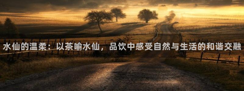 金年会APP下载