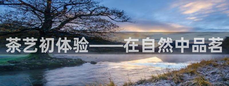 金年会手机登录