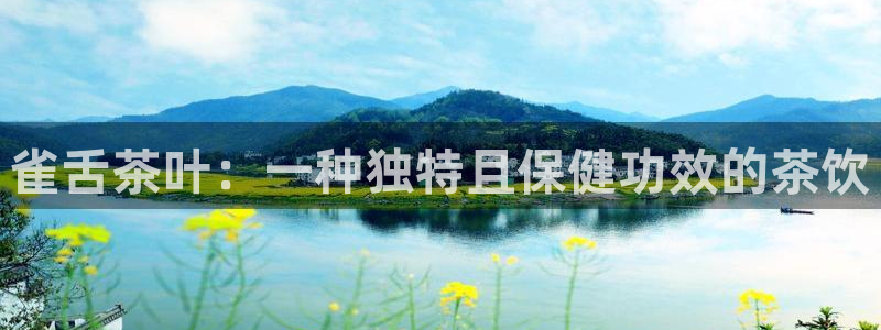 金年会体育在线登录