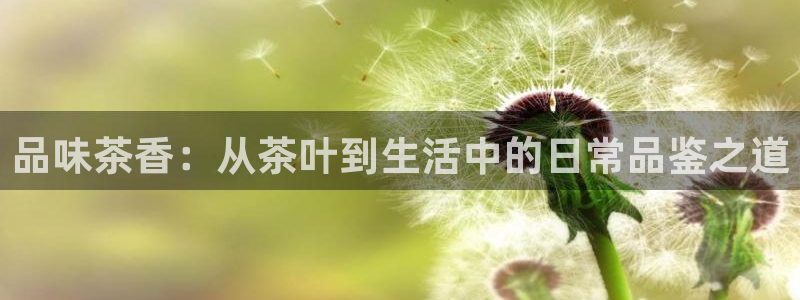 金年会官方网