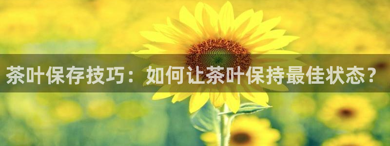 jinnian金年会
