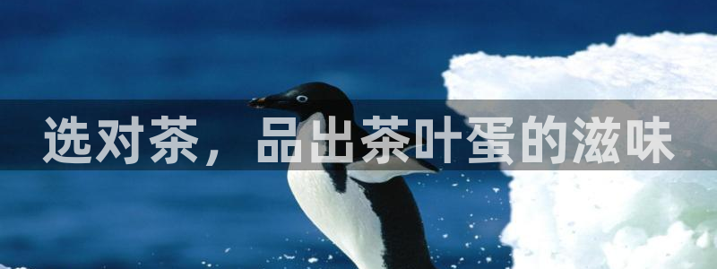 金年会现金网