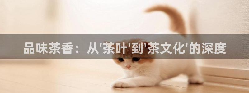 金年会彩票下载app