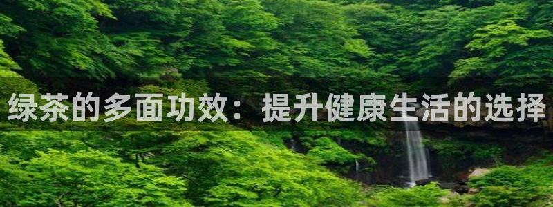 金年会app桌面
