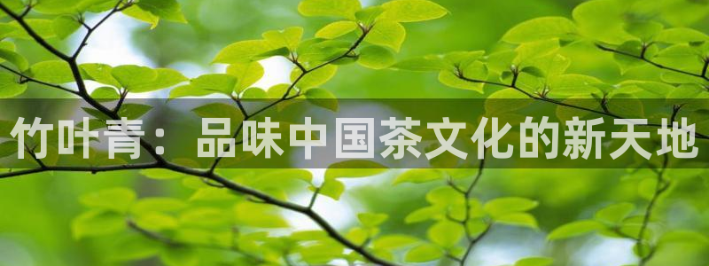 金年会18 28