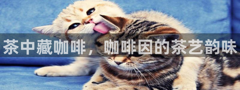 金年会原名