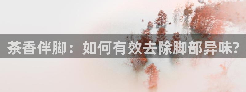 金年会官方网站下载