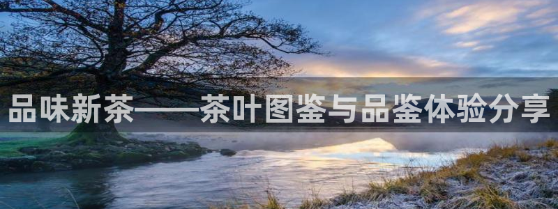 金年会官网