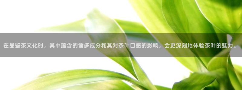陆金所 年会