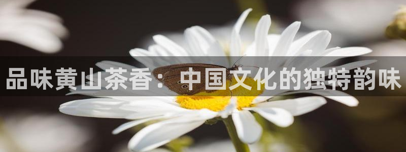 金进年会