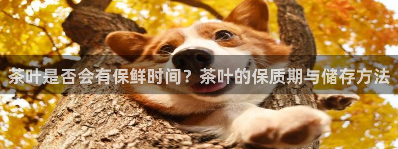 金年会6766001