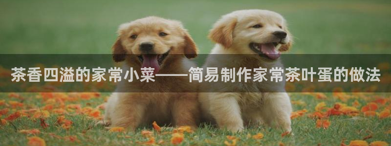 金年会官方入口