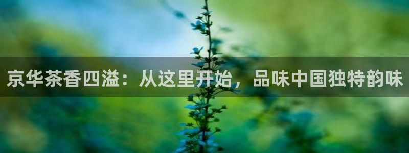 金年会 平台