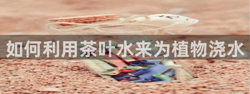 金立年会
