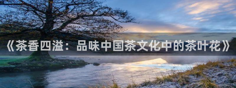 金年会网站
