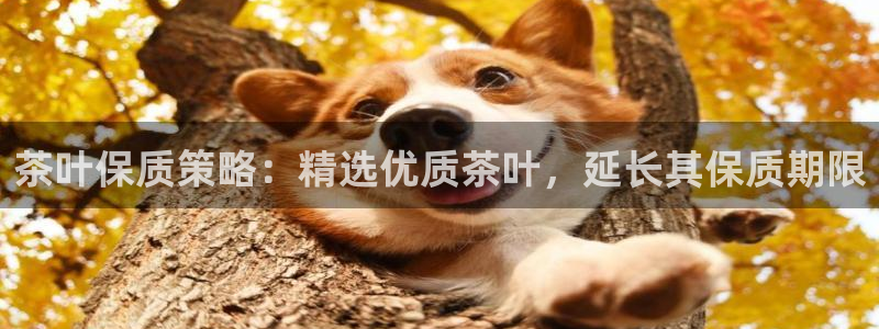 金年会app下载中国金年会