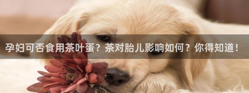 金齿科年会